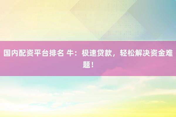 国内配资平台排名 牛：极速贷款，轻松解决资金难题！