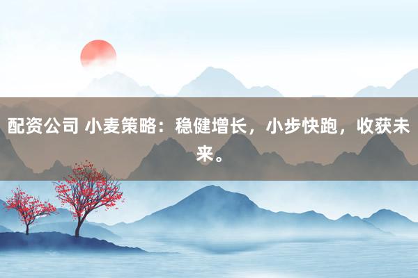 配资公司 小麦策略：稳健增长，小步快跑，收获未来。