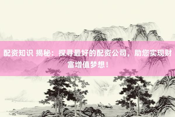 配资知识 揭秘：探寻最好的配资公司，助您实现财富增值梦想！
