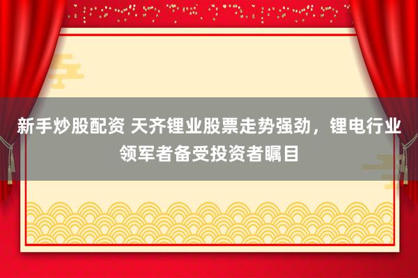 新手炒股配资 天齐锂业股票走势强劲，锂电行业领军者备受投资者瞩目