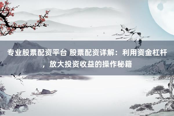 专业股票配资平台 股票配资详解：利用资金杠杆，放大投资收益的操作秘籍