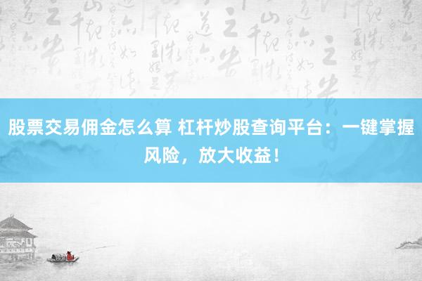 股票交易佣金怎么算 杠杆炒股查询平台：一键掌握风险，放大收益！
