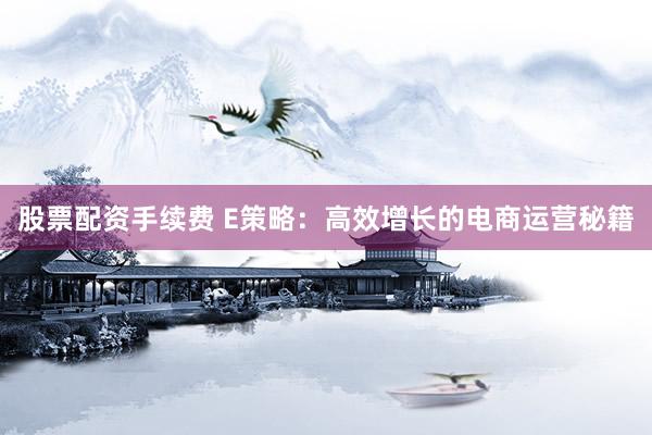 股票配资手续费 E策略：高效增长的电商运营秘籍