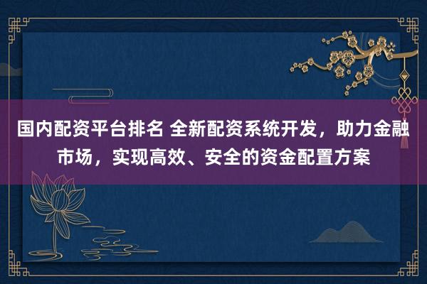 国内配资平台排名 全新配资系统开发，助力金融市场，实现高效、安全的资金配置方案