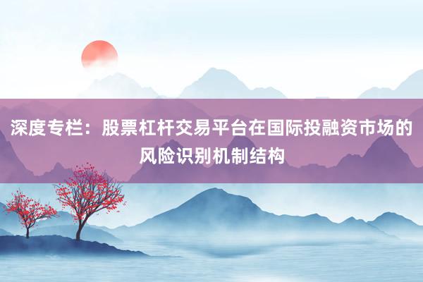 深度专栏：股票杠杆交易平台在国际投融资市场的风险识别机制结构