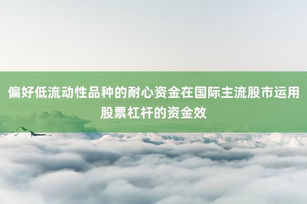 偏好低流动性品种的耐心资金在国际主流股市运用股票杠杆的资金效