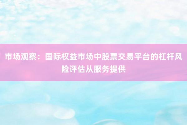 市场观察：国际权益市场中股票交易平台的杠杆风险评估从服务提供