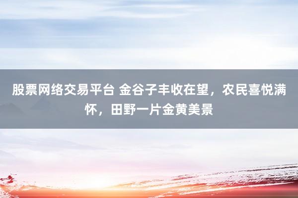 股票网络交易平台 金谷子丰收在望，农民喜悦满怀，田野一片金黄美景