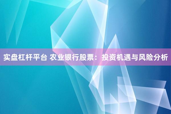 实盘杠杆平台 农业银行股票:投资机遇与风险分析