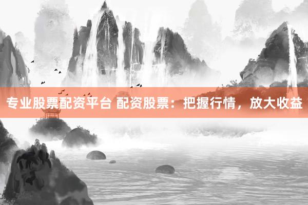 专业股票配资平台 配资股票：把握行情，放大收益