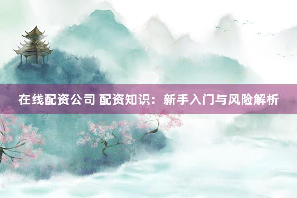 在线配资公司 配资知识：新手入门与风险解析