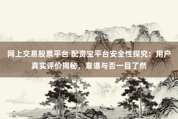 网上交易股票平台 配资宝平台安全性探究：用户真实评价揭秘，靠谱与否一目了然